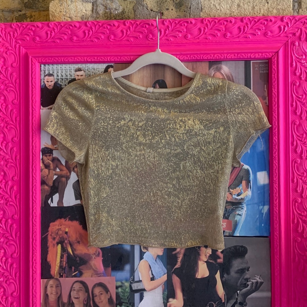 Pitaya glitter top